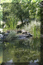 R�habiltation d'un bassin du Branois - le r�sultat final   12 