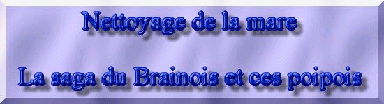 R�habiltation d'un bassin du Branois - Le nettoyage du bassin    1 