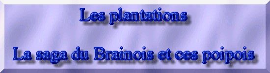 R�habiltation d'un bassin du Branois - plantation des plantes aquatiques   1 