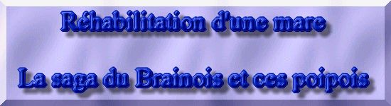 R�habiltation d'un bassin du Branois - �tat des lieux   1 