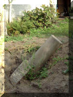 Le jardin aquatique du Brainois l'�tat des lieus  13 