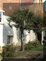 Le jardin aquatique du Brainois l'�tat des lieus  17 