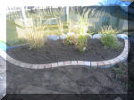 Am�nagement du jardin aquatique de Patrick - les abords  4 