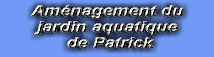 Am�nagement du jardin aquatique de Patrick - les abords  1 