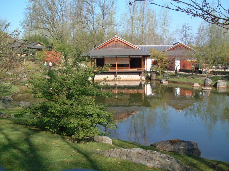 Le jardin Japonais de Hasselt - le printemps 2  2 