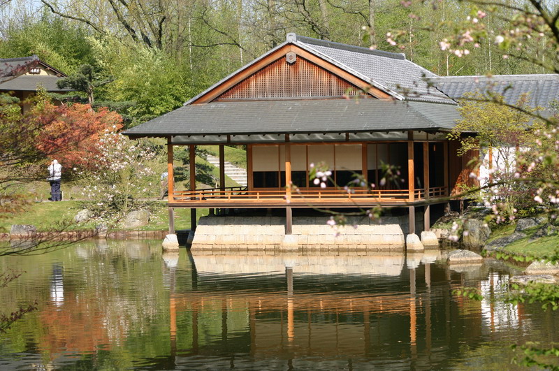 Le jardin Japonais de Hasselt - le printemps 4  2 