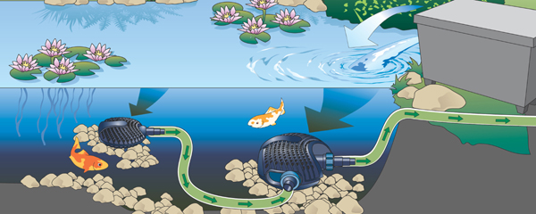 Gafa 2003 les nouveaut�s 2004 - OASE  1 