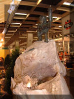 Gafa 2003 les nouveaut�s 2004 - ROTTENECKER  8 