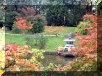 Le jardin Japonais de Hasselt - Chrysanth�mes 2  10 