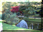 Le jardin Japonais de Hasselt - automne 1  12 