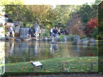 Le jardin Japonais de Hasselt - automne 1  15 