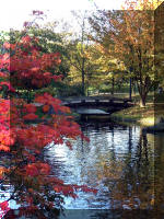 Le jardin Japonais de Hasselt - automne 1  23 