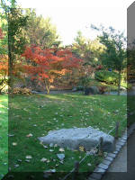 Le jardin Japonais de Hasselt - automne 1  26 