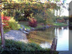 Le jardin Japonais de Hasselt - automne 2  17 