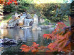 Le jardin Japonais de Hasselt - automne 3  3 