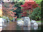 Le jardin Japonais de Hasselt - automne 3  11 