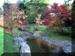 Le jardin Japonais de Hasselt - automne 3  16 
