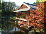 Le jardin Japonais de Hasselt - automne 4  22 