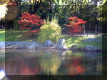 Le jardin Japonais de Hasselt - automne 4  20 