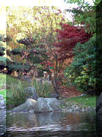 Le jardin Japonais de Hasselt - automne 4  15 