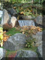 Le jardin Japonais de Hasselt - automne 4  11 