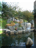 Le jardin Japonais de Hasselt - automne 4  5 