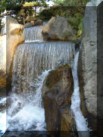 Le jardin Japonais de Hasselt - automne 4  8 
