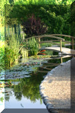 JARDIN AQUATIQUE 10  4 