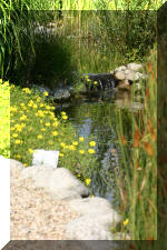 JARDIN AQUATIQUE 10  20 