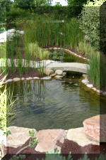 JARDIN AQUATIQUE 9  15 