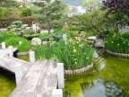 jardin japonais de monaco