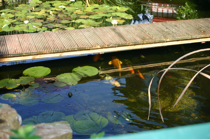 Visite d'une ferme aquatique coget