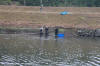 Koi Hunting of Danny's koi caf� november 2008 - Sakai fish farm harvest in mud pond 1  7 
