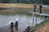 Koi Hunting of Danny's koi caf� november 2008 - Sakai fish farm harvest in mud pond 1  8 