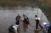 Koi Hunting of Danny's koi caf� november 2008 - Sakai fish farm harvest in mud pond 1  20 