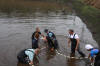 Koi Hunting of Danny's koi caf� november 2008 - Sakai fish farm harvest in mud pond 1  21 