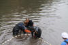 Koi Hunting of Danny's koi caf� november 2008 - Sakai fish farm harvest in mud pond 2  19 