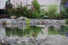 Cascade et bassin de r�ve 2  16 