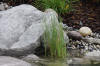 Cascade et bassin de r�ve 2  7 