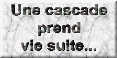 Cascade et bassin de r�ve 3  1 