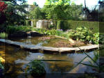 Le jardin aquatique de r�ve du Condroz - Printemps 2003 2  29 