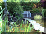Le jardin aquatique de r�ve du Condroz - Printemps 2003 2  20 