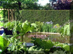 Le jardin aquatique de r�ve du Condroz - Printemps 2003 4  17 