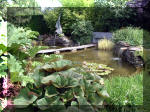 Le jardin aquatique de r�ve du Condroz - Printemps 2003 6  4 