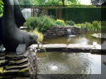 Le jardin aquatique de r�ve du Condroz - Printemps 2003 6  29 