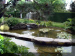 Le jardin aquatique de r�ve du Condroz - Printemps 2003 7  6 