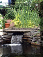 Le jardin aquatique de r�ve du Condroz - Printemps 2003 7  20 