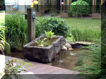 Le jardin aquatique de r�ve du Condroz - Printemps 2003 7  35 