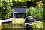 Le jardin aquatique de r�ve du Condroz - Printemps 2004 9  14 