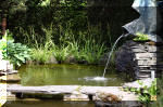 Le jardin aquatique de r�ve du Condroz - Printemps 2004 9  12 